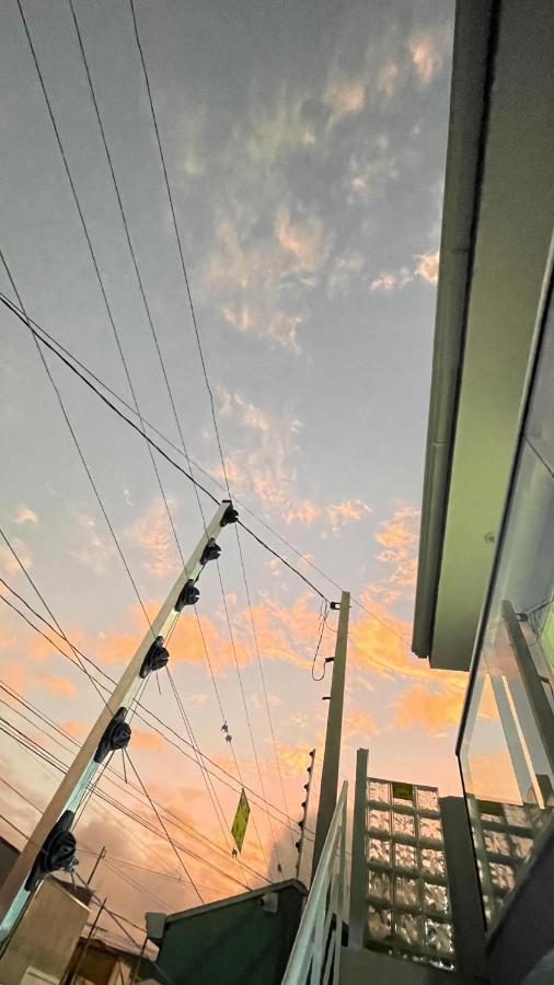 Lindo Apartamento Com 2 Quartos Prox Ao Jardim Botanico E Aeroporto Curitiba Dış mekan fotoğraf